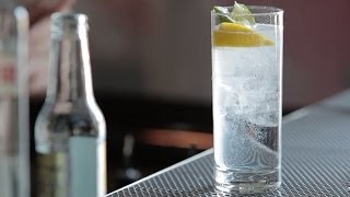 How to Make the Gin amp Tonic  Liquorcom [upl. by Stempien818]