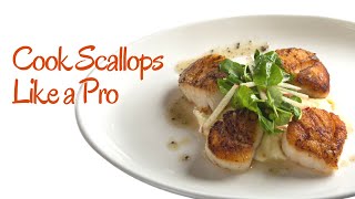 How to Cook Scallops  My Best Scallops Recipe [upl. by Janeta]