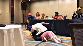 Adrienette at Anime Midwest 2017  Miraculous Ladybug Panel [upl. by Yespmed]