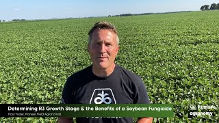 Soybean Fungicide Yield Benefits and Timing [upl. by O'Malley452]