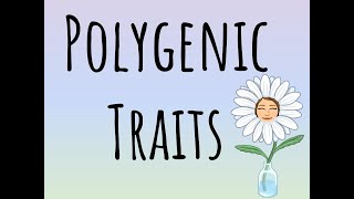 Polygenic Traits [upl. by Airdnaed]