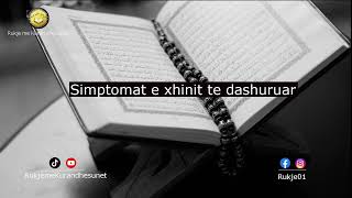 Simptomat e xhinit te dashuruar [upl. by Ailemac112]