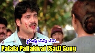 Nuvvu Vasthavani Songs  Patala Pallakivai Sad  Akkineni Nagarjuna Simran Bagga  Ganesh Videos [upl. by Iccir]