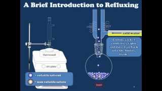 What Is Acid Reflux [upl. by Assetal]