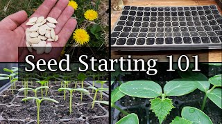 How To Start Vegetable Seeds  The Definitive Guide For Beginners [upl. by Ayatal]