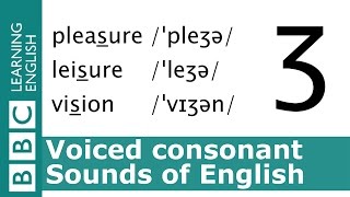 English Pronunciation 👄 Voiced Consonant  ʒ  pleasure leisure and vision [upl. by Uhp716]