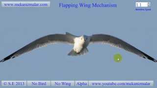 Wing Flapping Mechanism [upl. by Dahraf756]