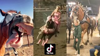 Horse Videos That Went Viral 1 [upl. by Jeuz]