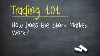 Trading 101 How Does the Stock Market Work [upl. by Ailaroc660]