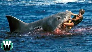 10 DEADLIEST Shark Attack Stories [upl. by Marthena]