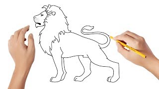 Comment dessiner un lion [upl. by Jerrold]