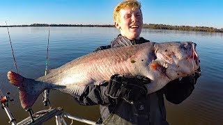 How to catch catfish in a river  fishing for big catfish bait rods reels rigs [upl. by Quill]