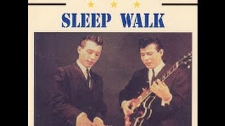 Guitar backing track  Sleepwalk [upl. by Airednaxela]