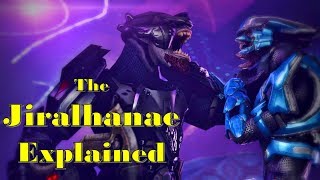 Halo Lore  Morphology of Jiralhanae Brutes  Biology History Covenant Role  Brutes Explained [upl. by Panter]