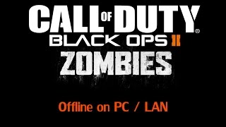 How to play Bo2 Zombies OfflineLan [upl. by Stine599]