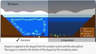 Pond amp Lake Aeration Explained 4 seasons [upl. by Aicekan]