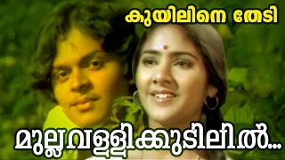 Mullavallikkudilil  Super Hit Malayalam Movie  Kuyiline Thedi  Movie Song [upl. by Nadruoj824]