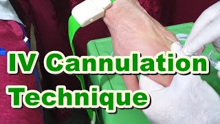 How to Insert IV Cannula  IV Cannulation Technique  Branula  Intravenous Catheter [upl. by Atnahsa565]