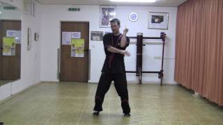 SIFU THILO HERMANN  BIU TZE [upl. by Rosina]