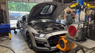 2020 Shelby GT500 Makes 1550HP with a 38L Whipple Supercharger [upl. by Rayford]