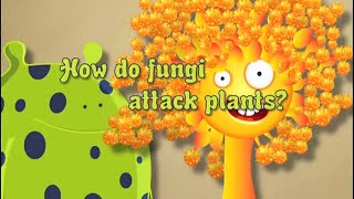 Fungicide No 2 How Do Fungi Attack Plants [upl. by Araldo600]