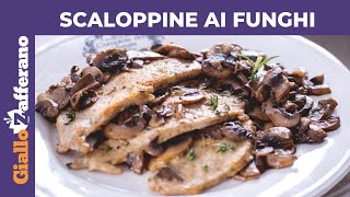 SCALOPPINE AI FUNGHI CREMOSE RICETTA FACILE E VELOCE [upl. by Yrallih953]