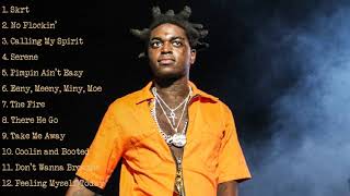 Kodak Black Dj Mix [upl. by Ettelimay]