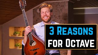 3 Reasons Why I Think You Should Play the Octave Mandolin [upl. by Nealon469]