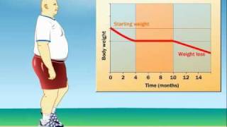 How Does Exercise Impact Weight Loss [upl. by Zales]