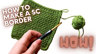 How To Single Crochet a Blanket Border  PERFECT FOR BEGINNERS [upl. by Grof]