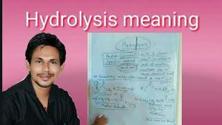 Hydrolysis meaning [upl. by Kela]