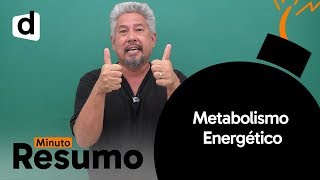 BIOLOGIA METABOLISMO ENERGÉTICO  MINUTO RESUMO  DESCOMPLICA [upl. by Annahsad]