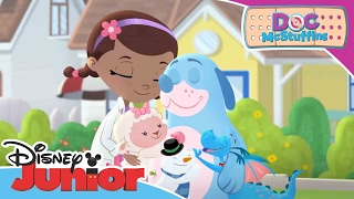 Doc McStuffins  The Doc Files  Boppys Boo Boo  Official Disney Junior Africa [upl. by Swagerty202]