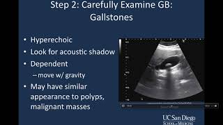 Introduction to Biliary Ultrasound [upl. by Lirrad56]