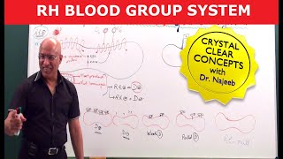 Rh Blood Group System  Dr Najeeb [upl. by Gamber202]