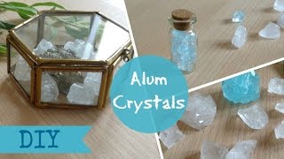 DIY Alum Crystals  tumblr decor [upl. by Ardnuasal]