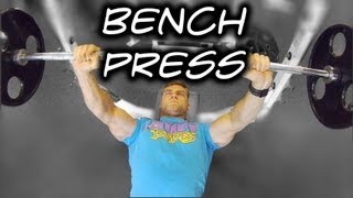 How to Perform Bench Press  Tutorial amp Proper Form [upl. by Thelma]