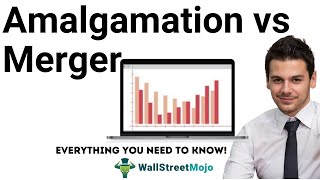 Amalgamation vs Merger  Know the Top Differences [upl. by Ahsal]