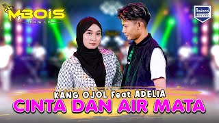 Cinta Dan Air Mata  Kang Ojol Feat Adelia  Mbois Music [upl. by Nee]