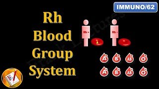 Rh Blood Group System FLImmuno62 [upl. by Dahs647]