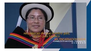 Diversidad étnica y cultural en América Latina [upl. by Moss]