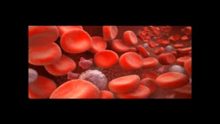 The Composition and Function of Blood [upl. by Randee]