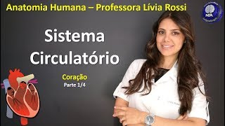 Anatomia Humana  Sistema Circulatório  Coração 14 [upl. by Ghassan]