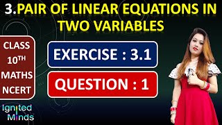 Question 1  Exercise 31  Chapter 3  Linear Equations  Class 10th Math [upl. by Cheung752]