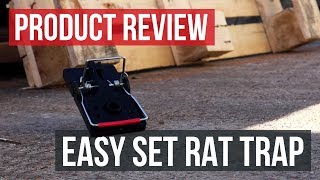 Easy Set Rat Trap How to Trap Rats [upl. by Calvinna]