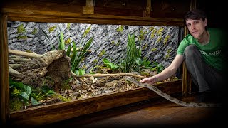 Live Planted Bioactive Kingsnake Vivarium [upl. by Onitsuaf]