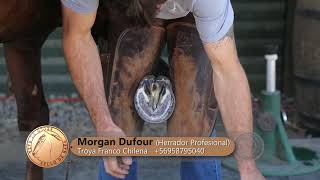 Morgan Dufour herrador Profesional [upl. by Kerri]