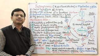 Diabetes Mellitus Part10 Mechanism of Action of Sulfonylurease  Antidiabetic Drugs  Diabetes [upl. by Palladin]