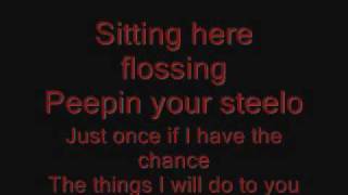 Ginuwine Pony Lyrics on screen [upl. by Tremayne]