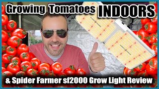 GROWING VEGETABLES INDOORS  Tomatoes and LED Grow Light Review [upl. by Oniratac]